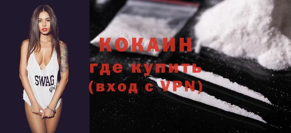 сатива Арсеньев