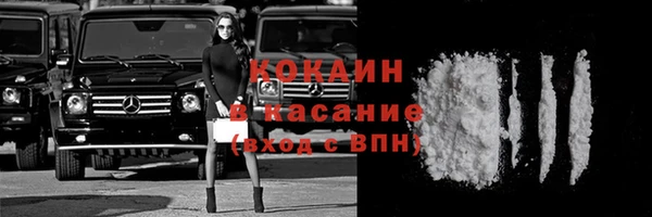 сатива Арсеньев