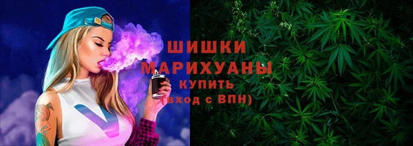 сатива Арсеньев