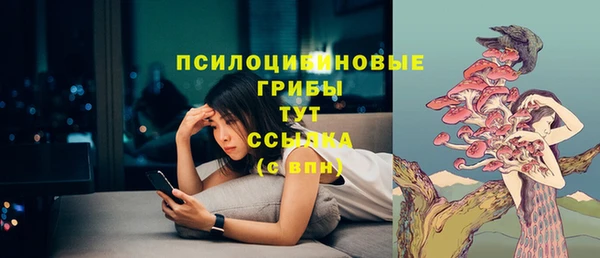 стаф Баксан