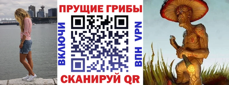 kraken как зайти Нефтегорск Галлюциногенные грибы Psilocybe где купить наркотик